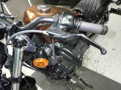 Harley-Davidson Sportster Forty-Eight XL1200X 2014