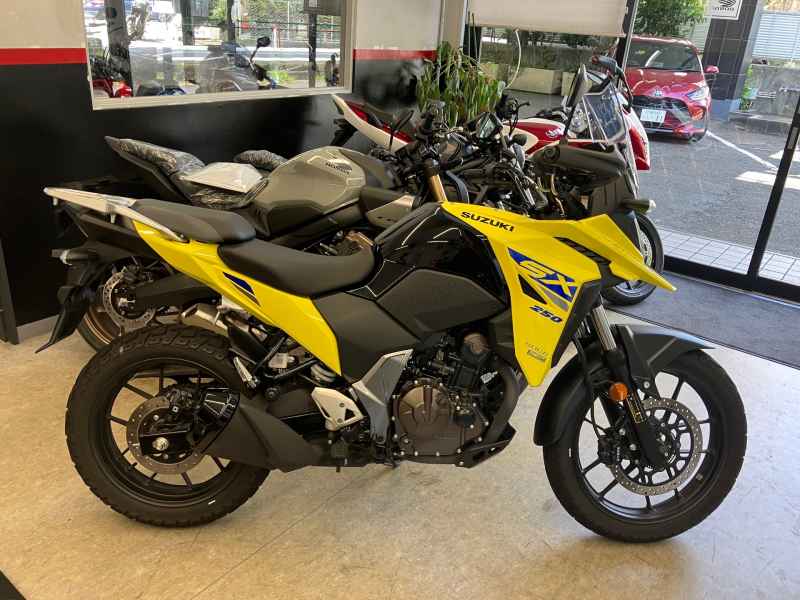 Suzuki V-Strom 250SX