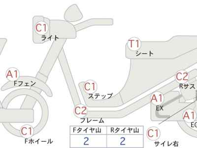 Kawasaki Estrella RS