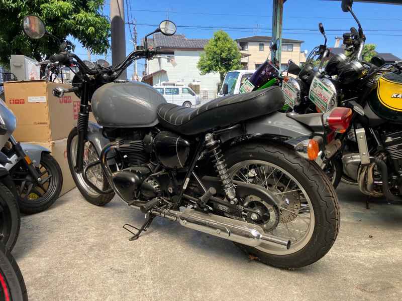 Kawasaki W800 Street 2022