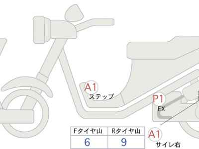 Kawasaki W800 Street 2022