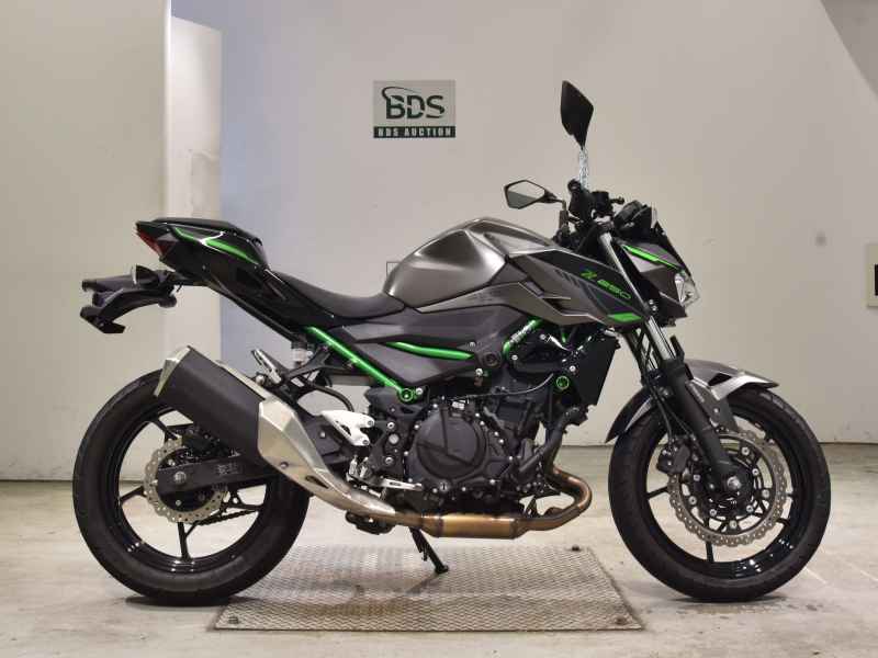 Kawasaki Z250 2024