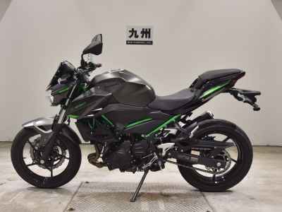 Kawasaki Z250 2024