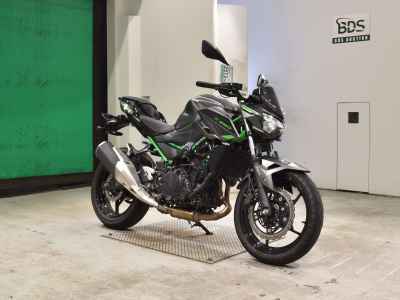 Kawasaki Z250 2024