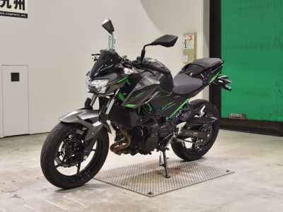Kawasaki Z250 2024