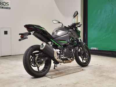 Kawasaki Z250 2024
