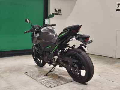 Kawasaki Z250 2024