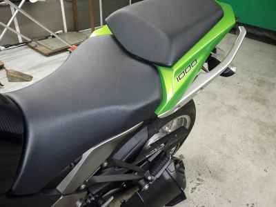Kawasaki Ninja 1000 2011