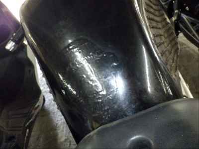 Suzuki Goose 250