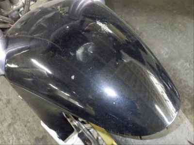 Suzuki Goose 250
