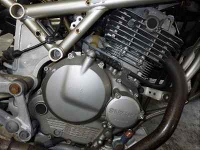 Suzuki Goose 250