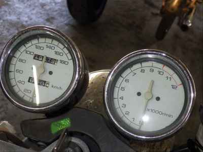 Suzuki Goose 250