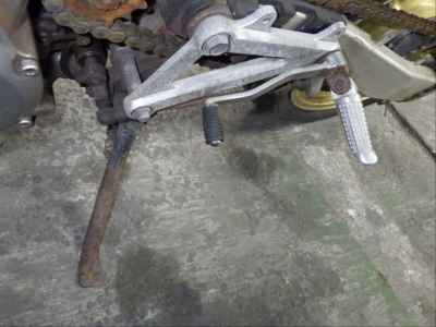 Suzuki Goose 250