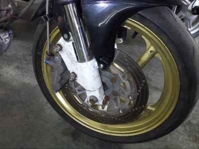 Suzuki Goose 250