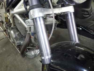 Suzuki Goose 250