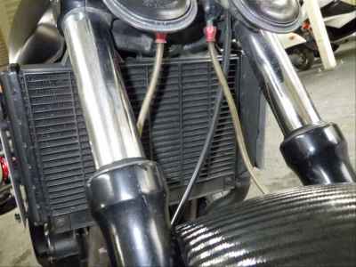 Triumph Speed Triple 2021