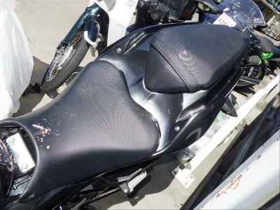 Kawasaki Ninja 250 2022