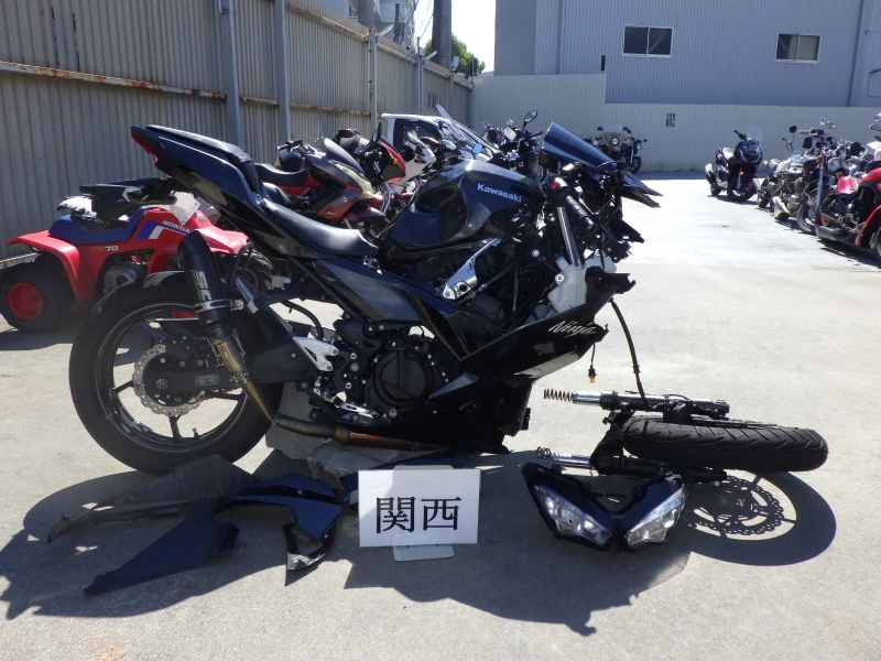 Kawasaki Ninja 250 2022