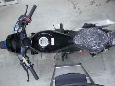 Honda Rebel CMX250 2025