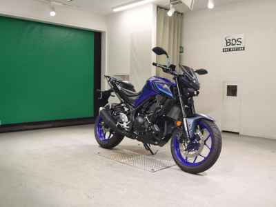 Yamaha MT-25 2022