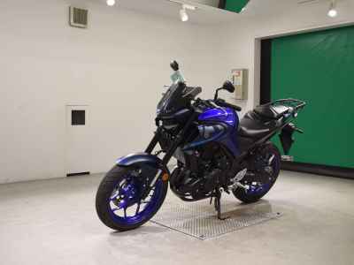 Yamaha MT-25 2022