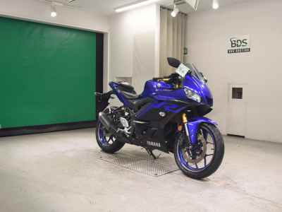Yamaha YZF-R3 2019