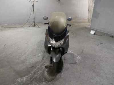 Kawasaki Epsilon 250 2006