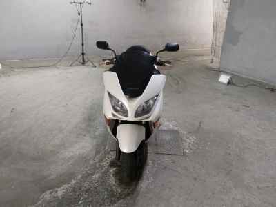Honda Forza Z 2006