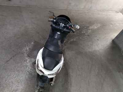 Honda Forza Z 2006