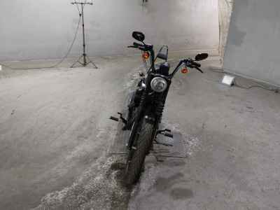 Harley-Davidson XL883N 2016