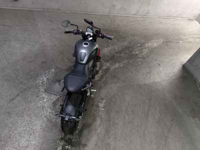 Triumph Trident 660 2021
