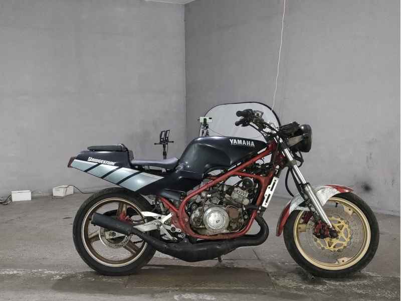 Yamaha RZ250R