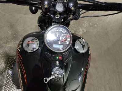 Harley-Davidson FLSTSB1580 2009