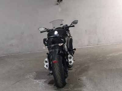 Kawasaki Ninja 1000 2017