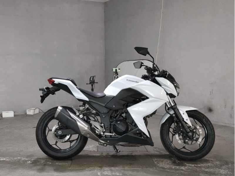 Kawasaki Z250 2013