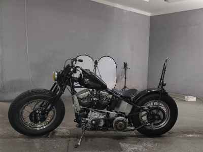 Harley-Davidson EL1000 2012