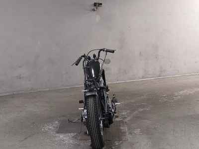 Harley-Davidson EL1000 2012