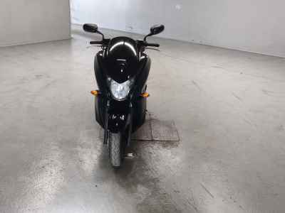 Honda Faze 2011