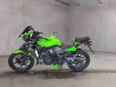 Kawasaki Ninja 250R 2012