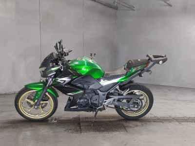 Kawasaki Z250 2017