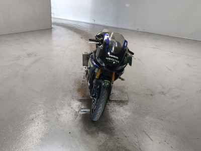 Yamaha YZF-R3 2019