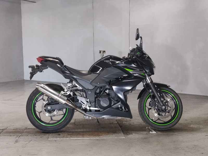 Kawasaki Z250 2013