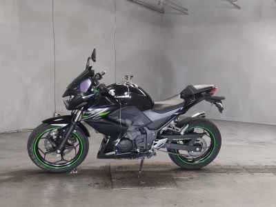 Kawasaki Z250 2013