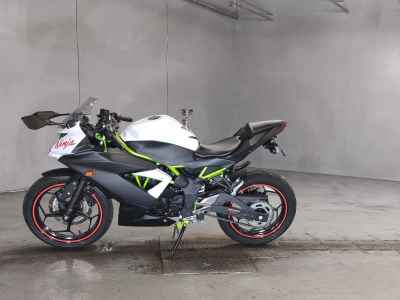 Kawasaki Ninja 250 2020