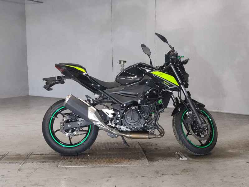 Kawasaki Z250 2022
