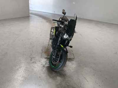 Kawasaki Z250 2022
