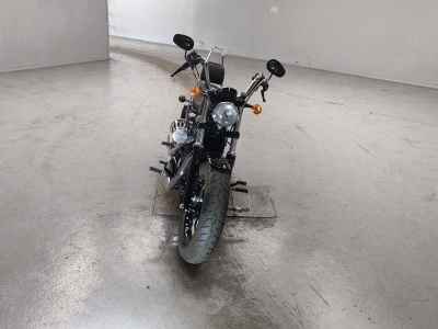 Harley-Davidson Sportster Forty-Eight XL1200X 2013