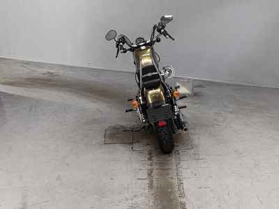 Harley-Davidson Sportster Forty-Eight XL1200X 2013