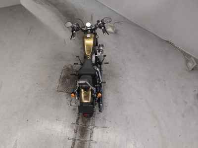 Harley-Davidson Sportster Forty-Eight XL1200X 2013