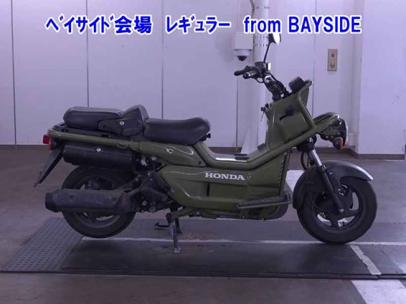 Honda PS250 Big Ruckus 2006